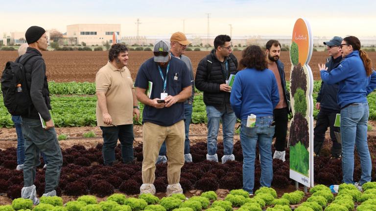 Syngenta presenta sus innovaciones en cultivos de hoja y brassica