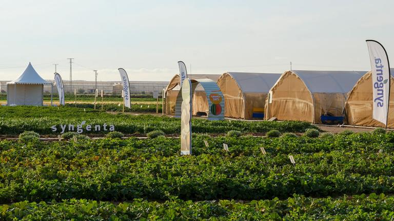 Syngenta reúne al sector del melón y sandía en La Puebla