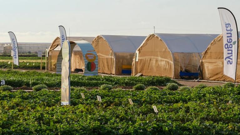 Syngenta reúne al sector del melón y sandía en La Puebla