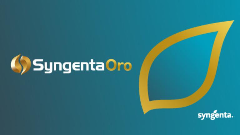 Logo de Syngenta Oro con hoja dorada sobre fondo degradado azul y verde