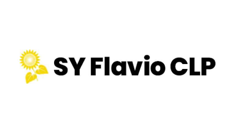 Logotipo de SY Flavio CLP