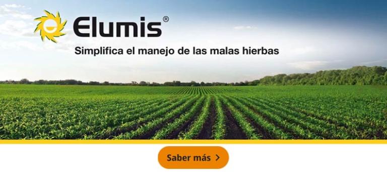Elumis
