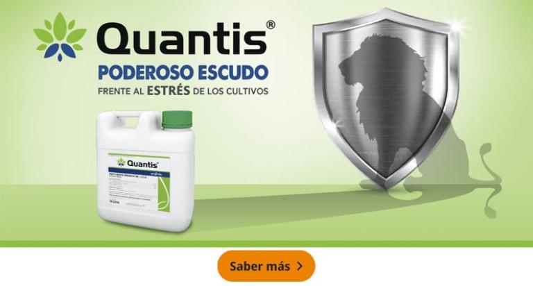 Quantis