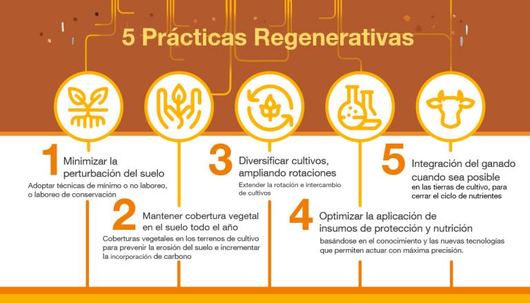 5 prácticas regenerativas