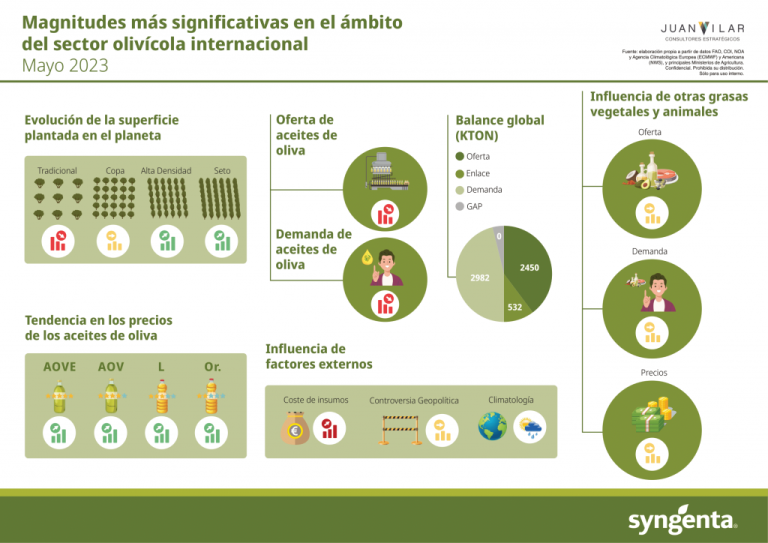 Infografía olivar Juan Vilar