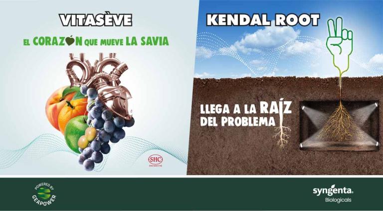 Vitasève y Kendal Root el conjunto que estimula diferentes procesos en la planta