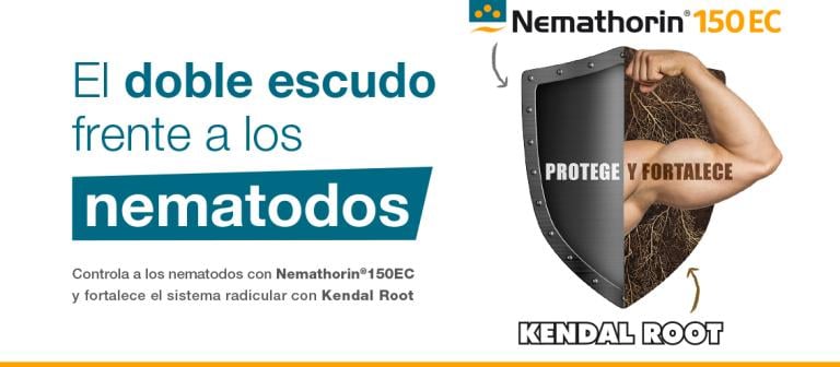 El doble escudo frente a los nematodos