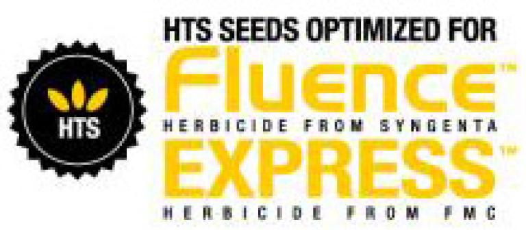 HTS SEEDS FLUENCE EXPRESS