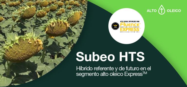 Subeo HTS, Híbrido referente y de futuro en el segmento alto oleico Express