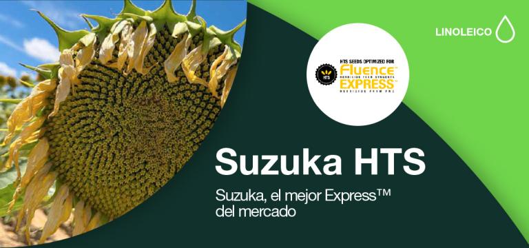 Suzuka HTS, el mejor Express™ del mercado
