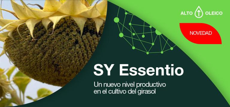 SY Essentio