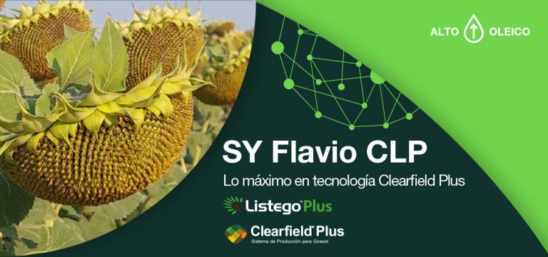 SY Flavio CLP, Lo máximo en tecnología Clearfield Plus