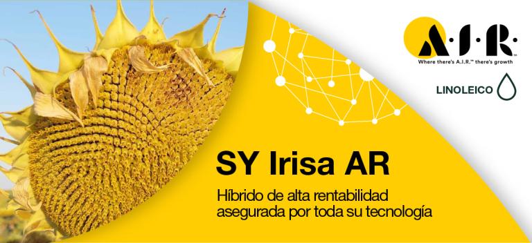 SY Irisa AR, Híbrido de alta rentabilidad asegurada por toda su tecnología