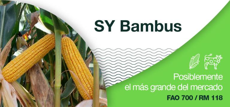 SY Bambus posiblemente el más grande del mercado