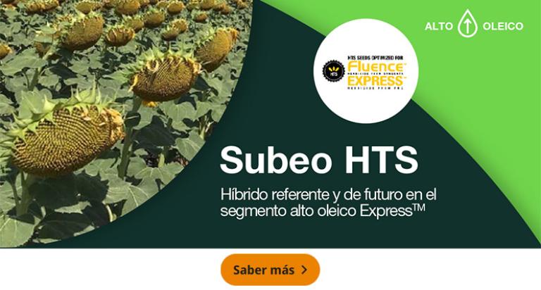 Subeo HTS, Híbrido referente y de futuro en el segmento alto oleico Express