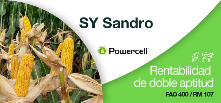 SY Sandro, Rentabilidad de doble aptitud