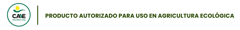 Logo ICAAE