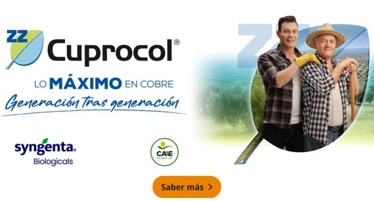 Lo máximo en cobre