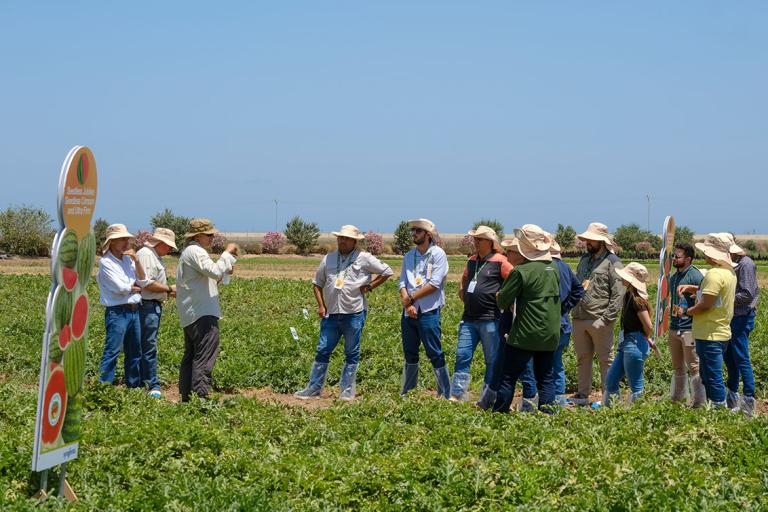 Syngenta reúne al sector del melón y sandía