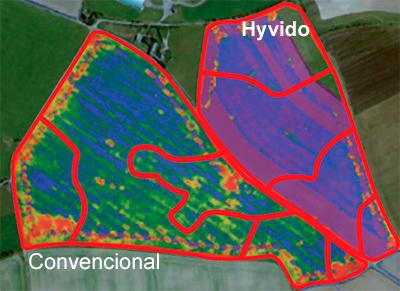 convencional e hyvido 3