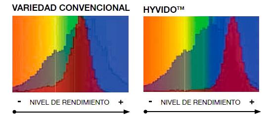 nivel de rendimiento - variedad convencional e hyvido