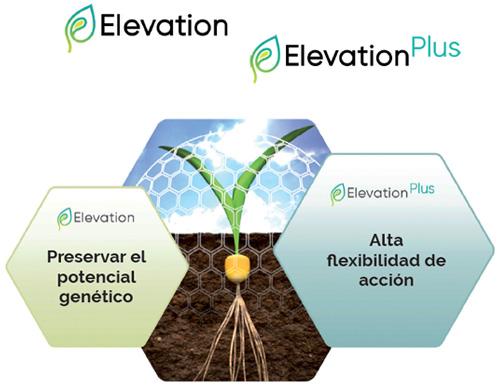 Gráfico Elevation y Elevation Plus