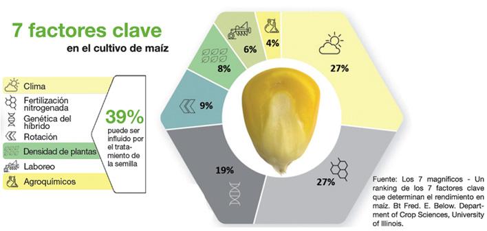 Gráfico Maíz Elevation