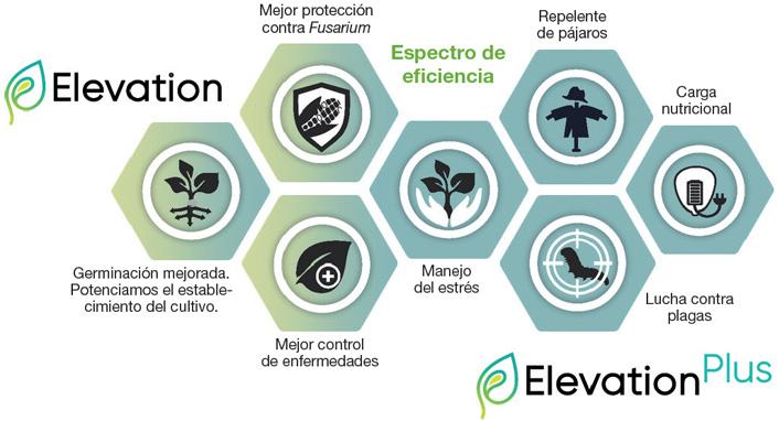Gráfico Elevation y Elevation Plus 2