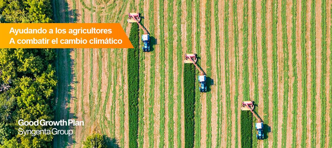 Ayudando a los agricultores a combatir el cambio climático