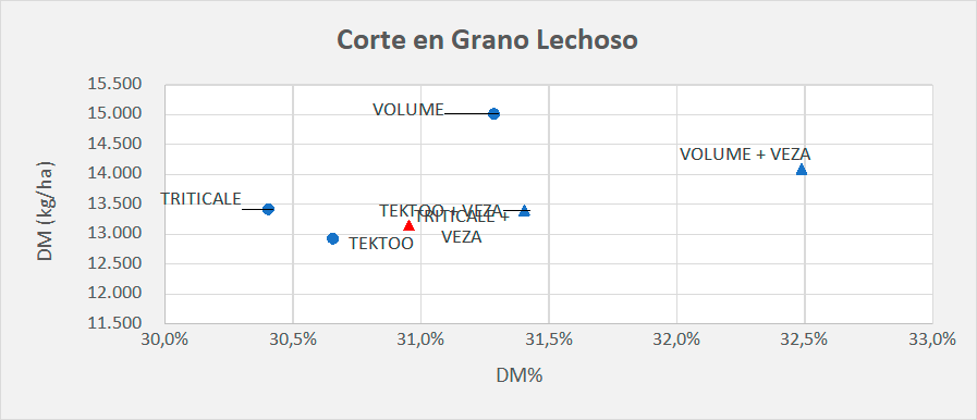 Corte en Grano Lechoso