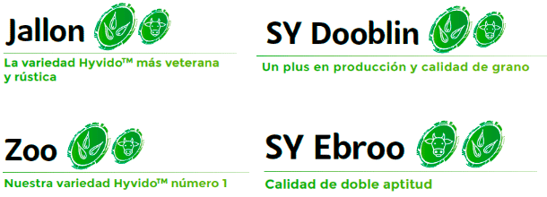 Cebadas Hyvido