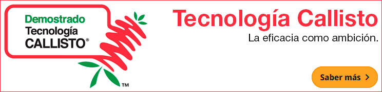 Banner Tecnología Callisto