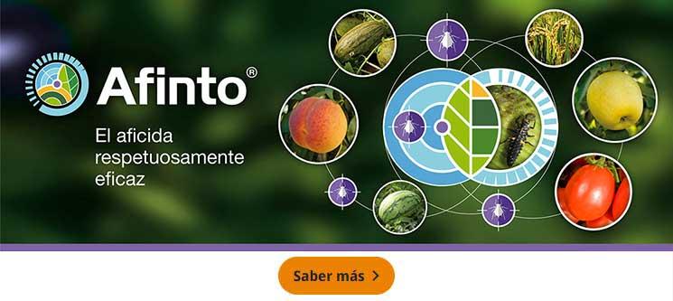 Protección Afinto