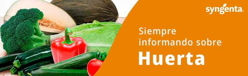 Siempre informado sobre Huerta