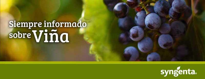 Siempre informado sobre Viña