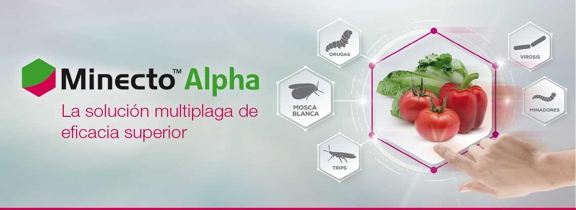 Minecto Alpha - La solución multiplaga de eficacia superior