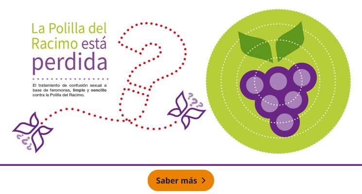 La Polilla del Racimo está perdida
