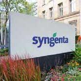 Sede Syngenta
