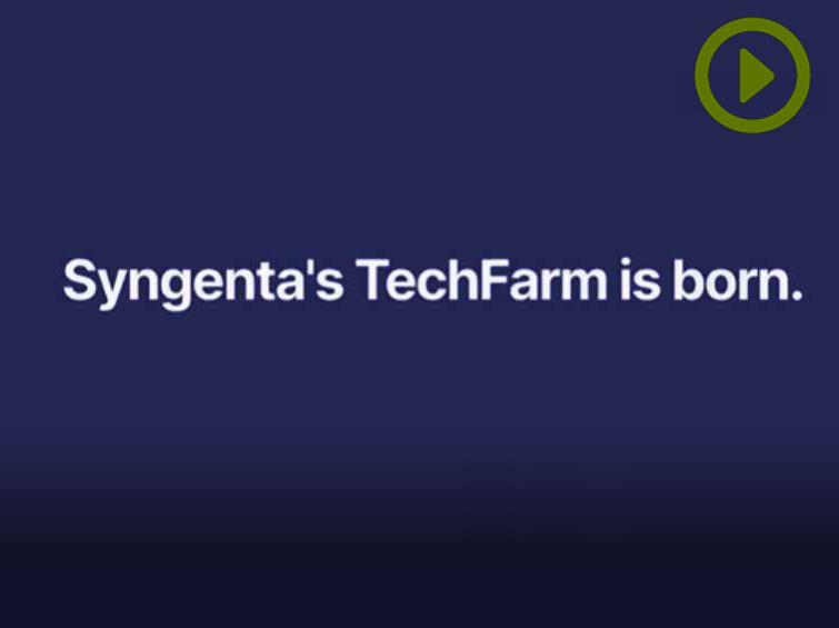 El trabajo importa - Syngenta's TechFarm is born