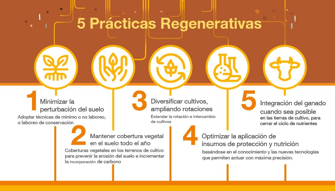 5 prácticas regenerativas