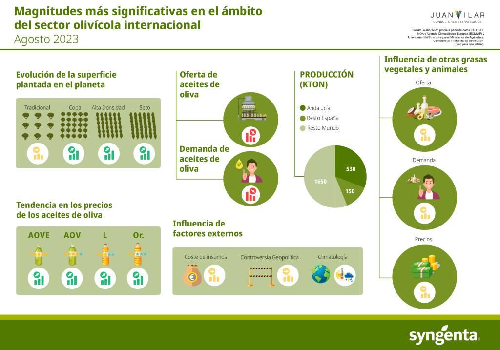 Infografía olivar Juan Vilar
