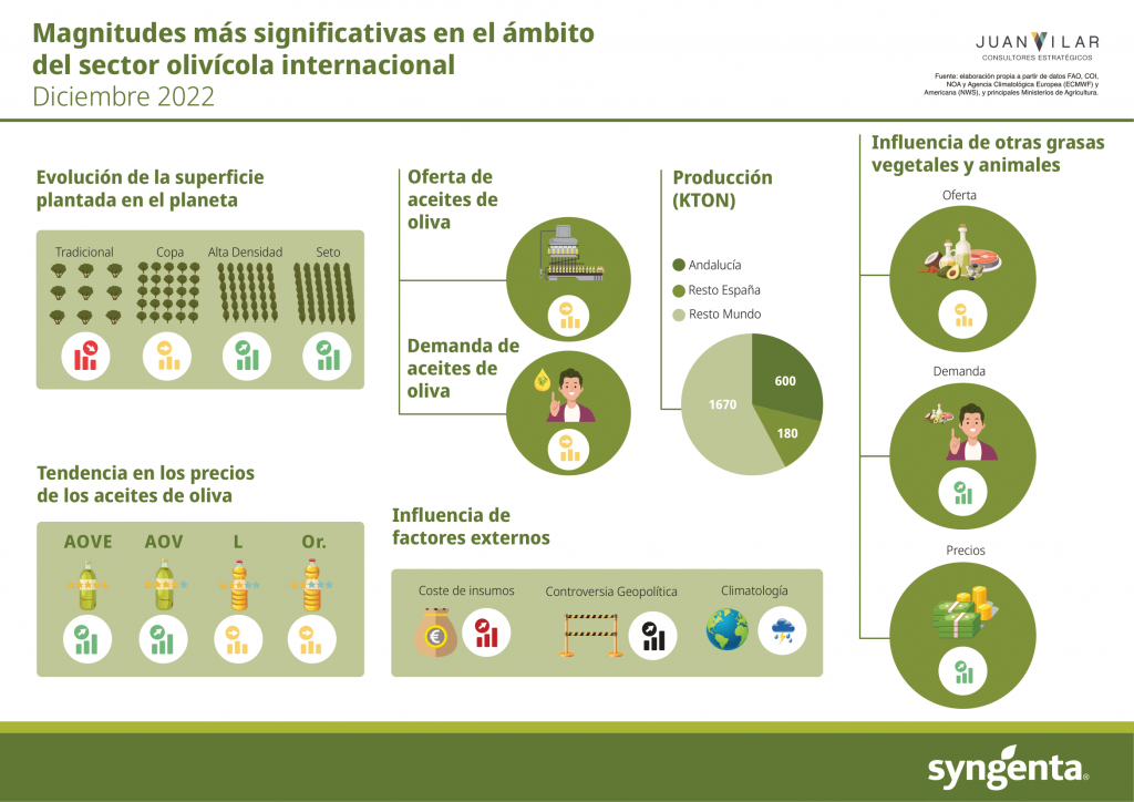 Infografía olivar Juan Vilar
