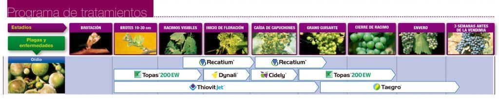 Tratamiento convencional en viñedo