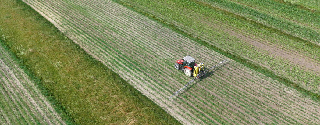 Tratando el cultivo con el tractor