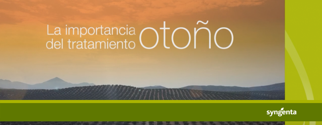 La importancia del tratamiento del olivar en otoño