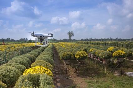 Drone sobre campo
