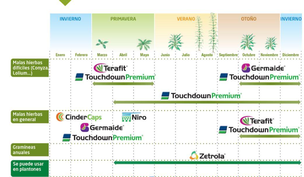 Soluciones Syngenta para malas hierbas en cítricos