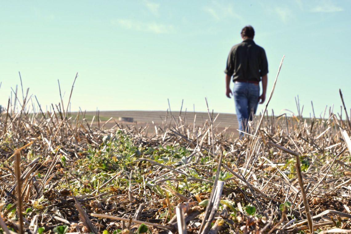 Agricultura de conservacion y cambio climatico
