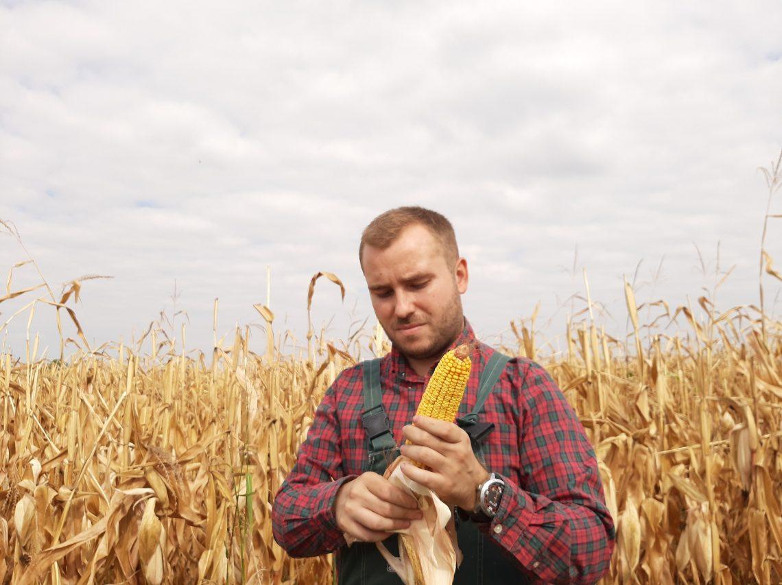 Joven agricultor en campo de maíz