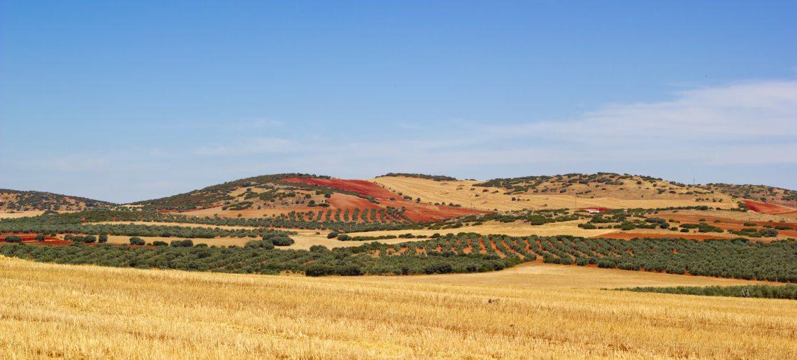 Paisaje manchego